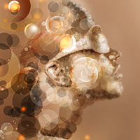Create Beautiful Abstract Female Art in Photoshop